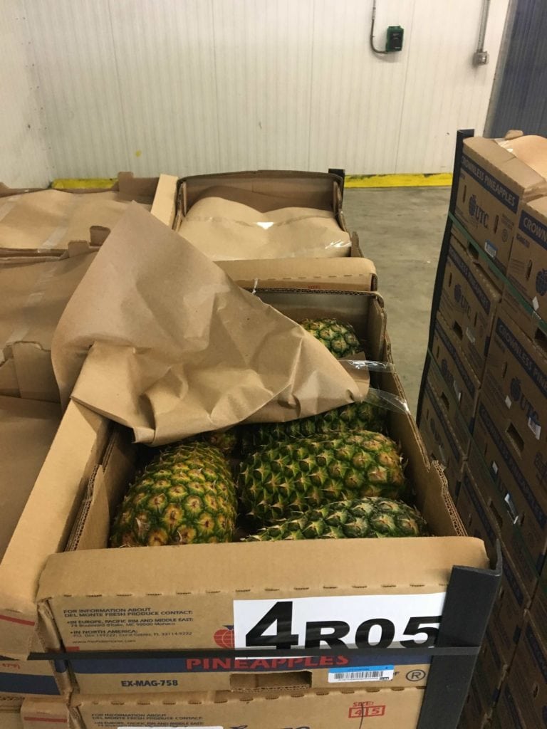 Crownless Pineapples in Cold Chain Inspection Room | The Geography of Transport Systems Crownless Pineapples Cold Chain Inspection