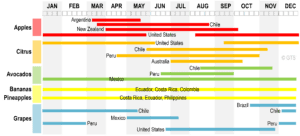 Availability of Fresh Produce by Season and Region | The Geography of Transport Systems