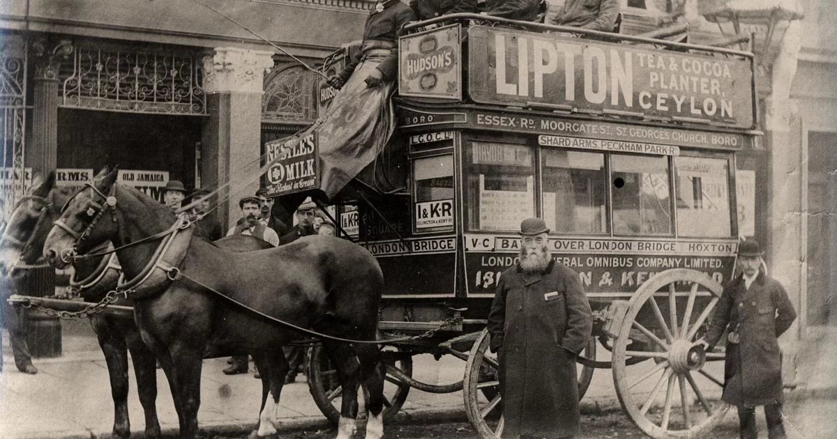Omnibus, London, Circa 1895 | The Geography of Transport Systems Omnibus London 1895