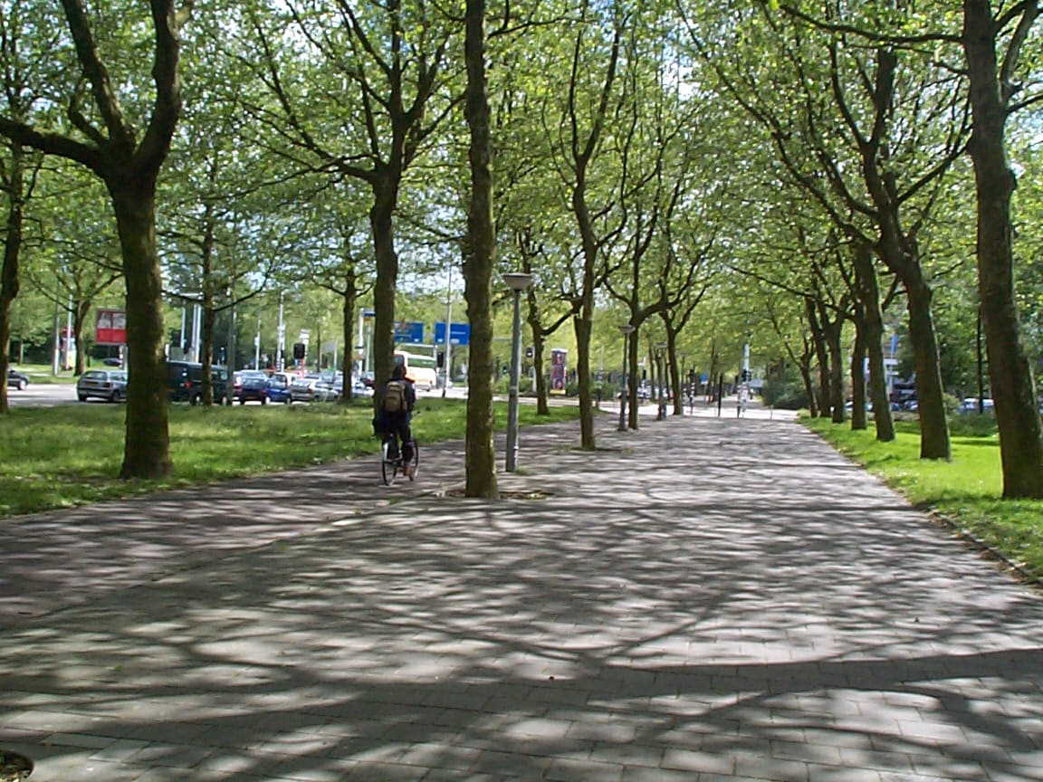 Pedestrian, Cycling and Road Spaces, Amsterdam, Netherlands | The Geography of Transport Systems Pedestrian Cycling Road Amsterdam