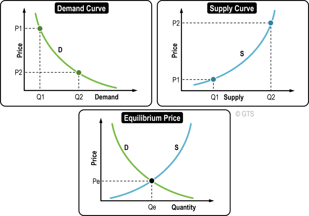 Supply, Demand and Equilibrium Price | The Geography of Transport Systems